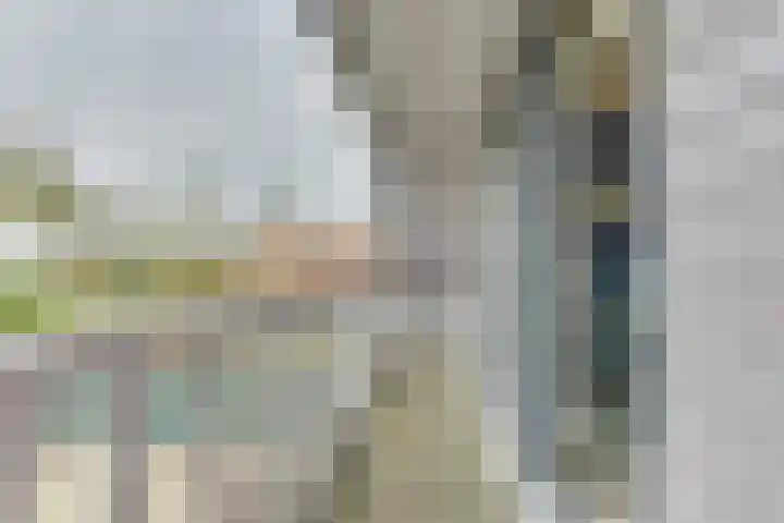 Westeinde 245 Berkhout thumbnail 37