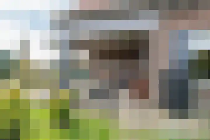 Westeinde 245 Berkhout thumbnail 39