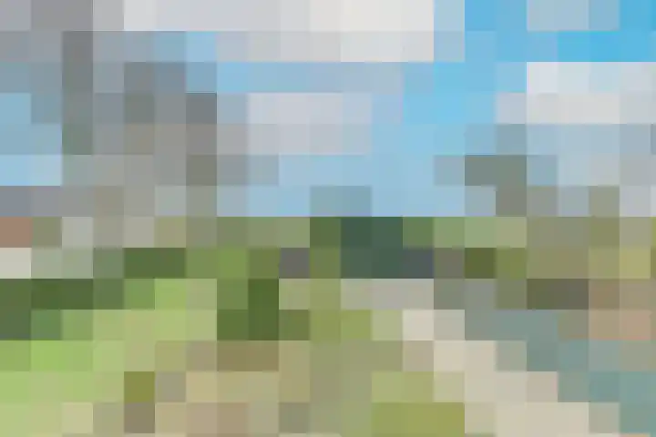 Westeinde 245 Berkhout thumbnail 42