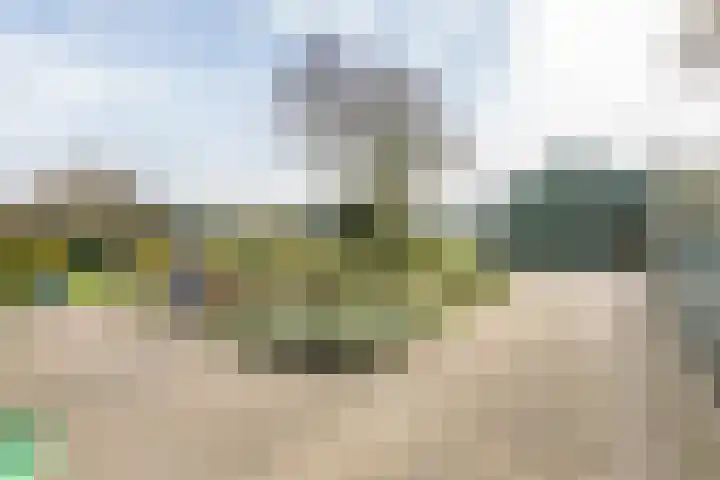 Westeinde 245 Berkhout thumbnail 43