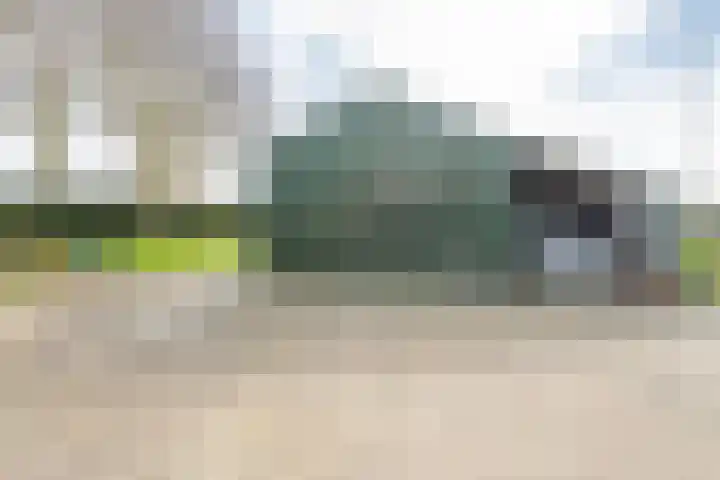 Westeinde 245 Berkhout thumbnail 44