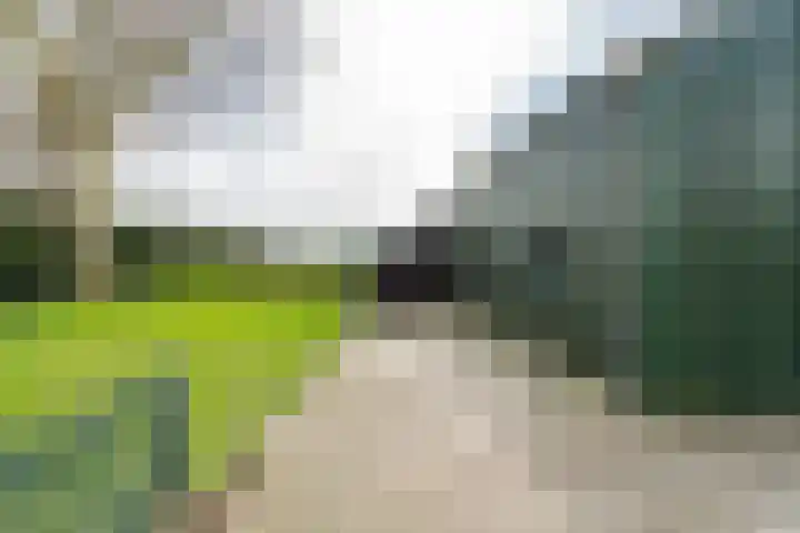 Westeinde 245 Berkhout thumbnail 45