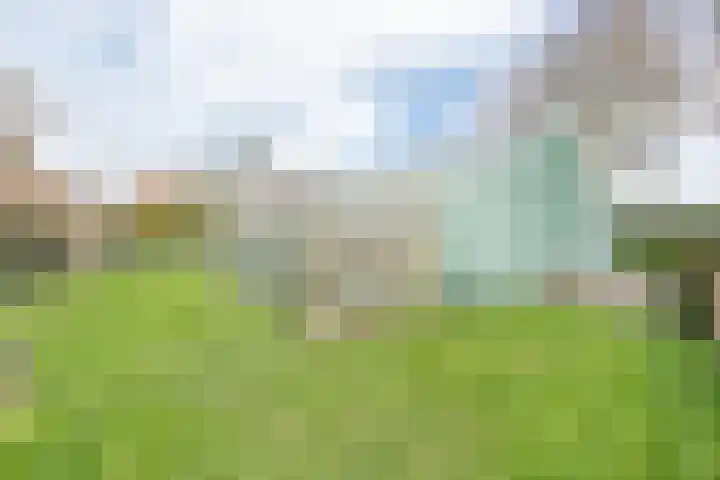 Westeinde 245 Berkhout thumbnail 46