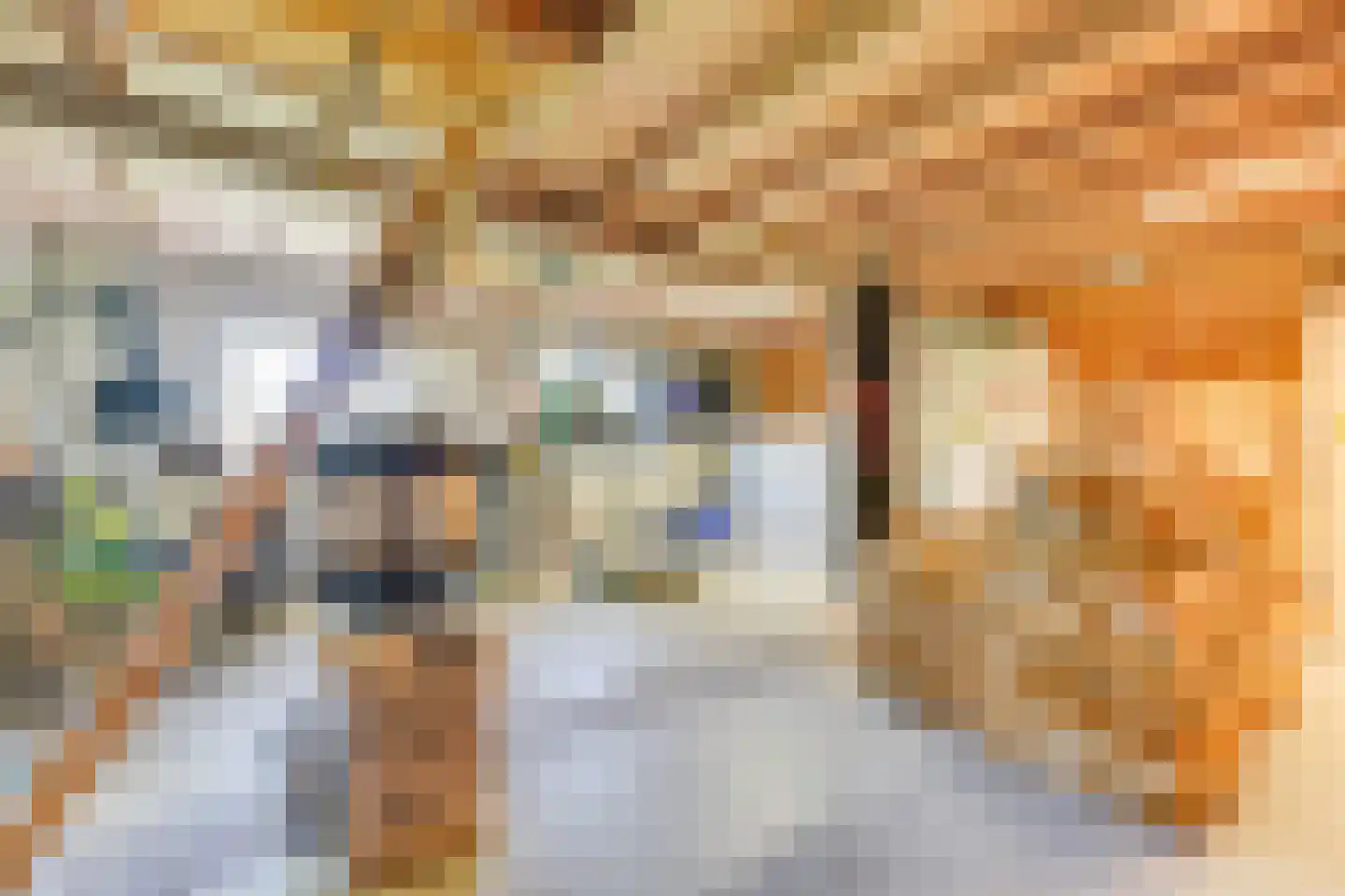 Westeinde 245 Berkhout thumbnail 48