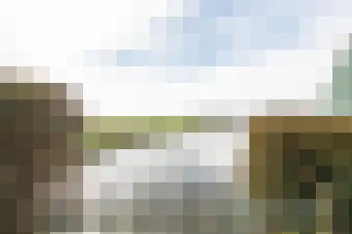 Westeinde 245 Berkhout thumbnail 49