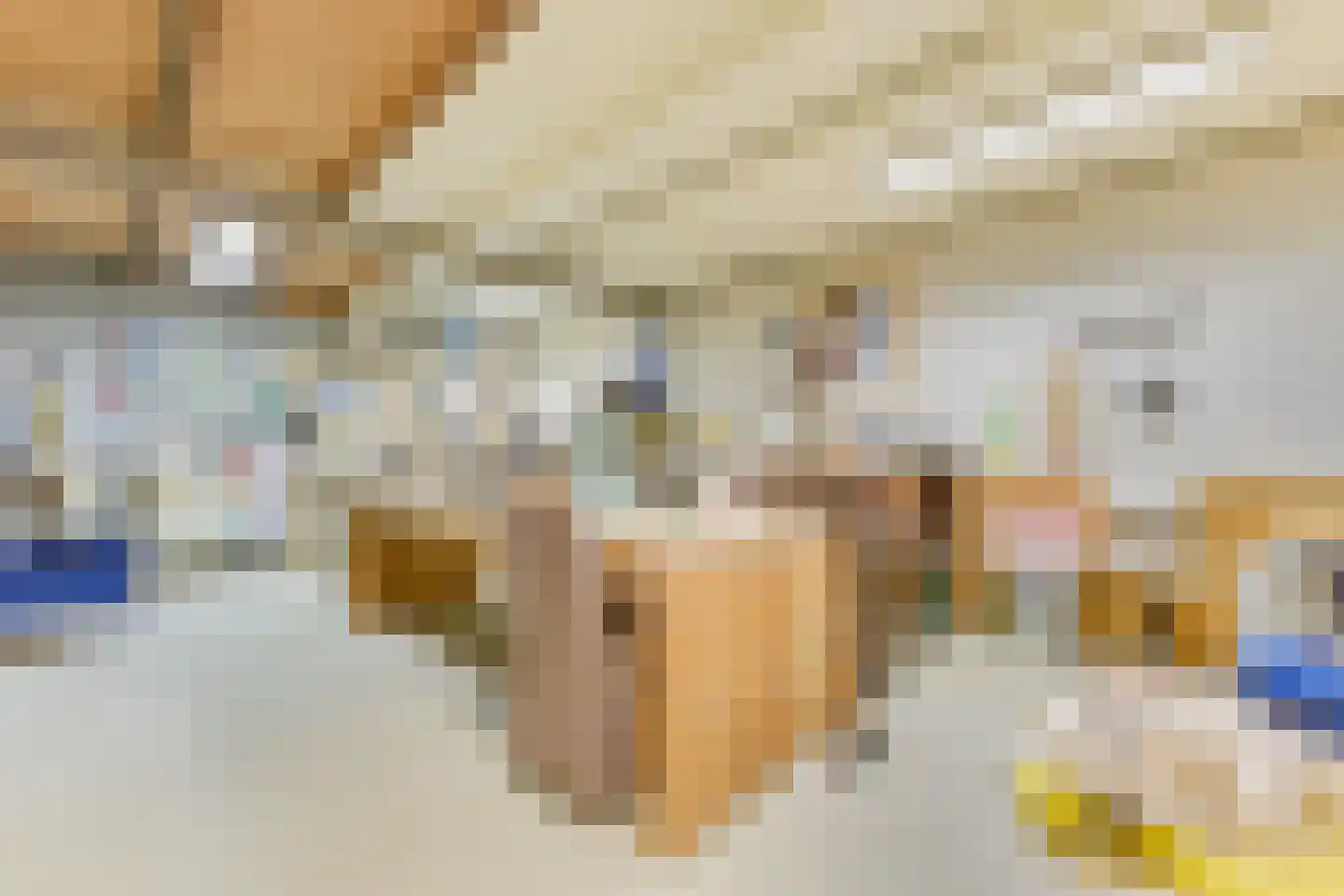 Westeinde 245 Berkhout thumbnail 52