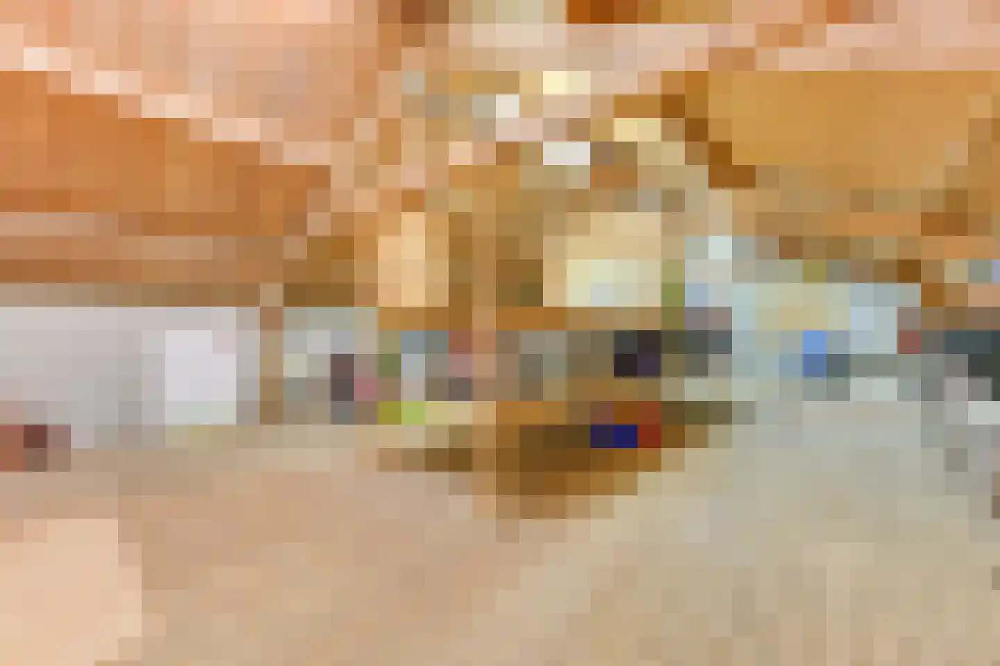 Westeinde 245 Berkhout thumbnail 54