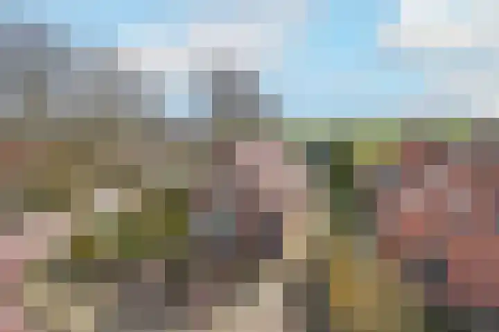 Westeinde 245 Berkhout thumbnail 55
