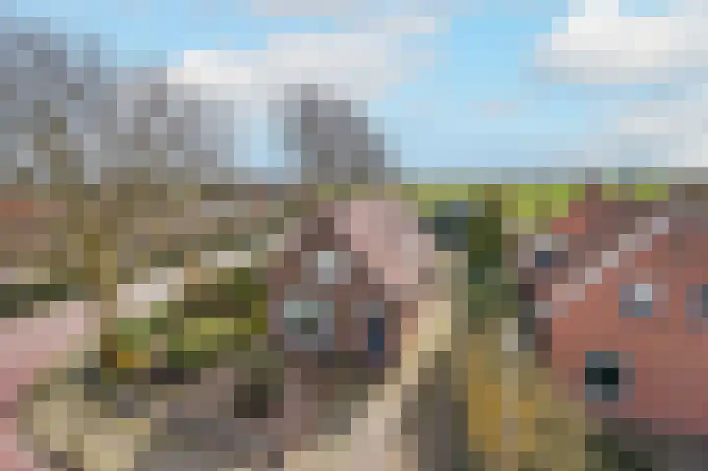 Westeinde 245 Berkhout thumbnail 55