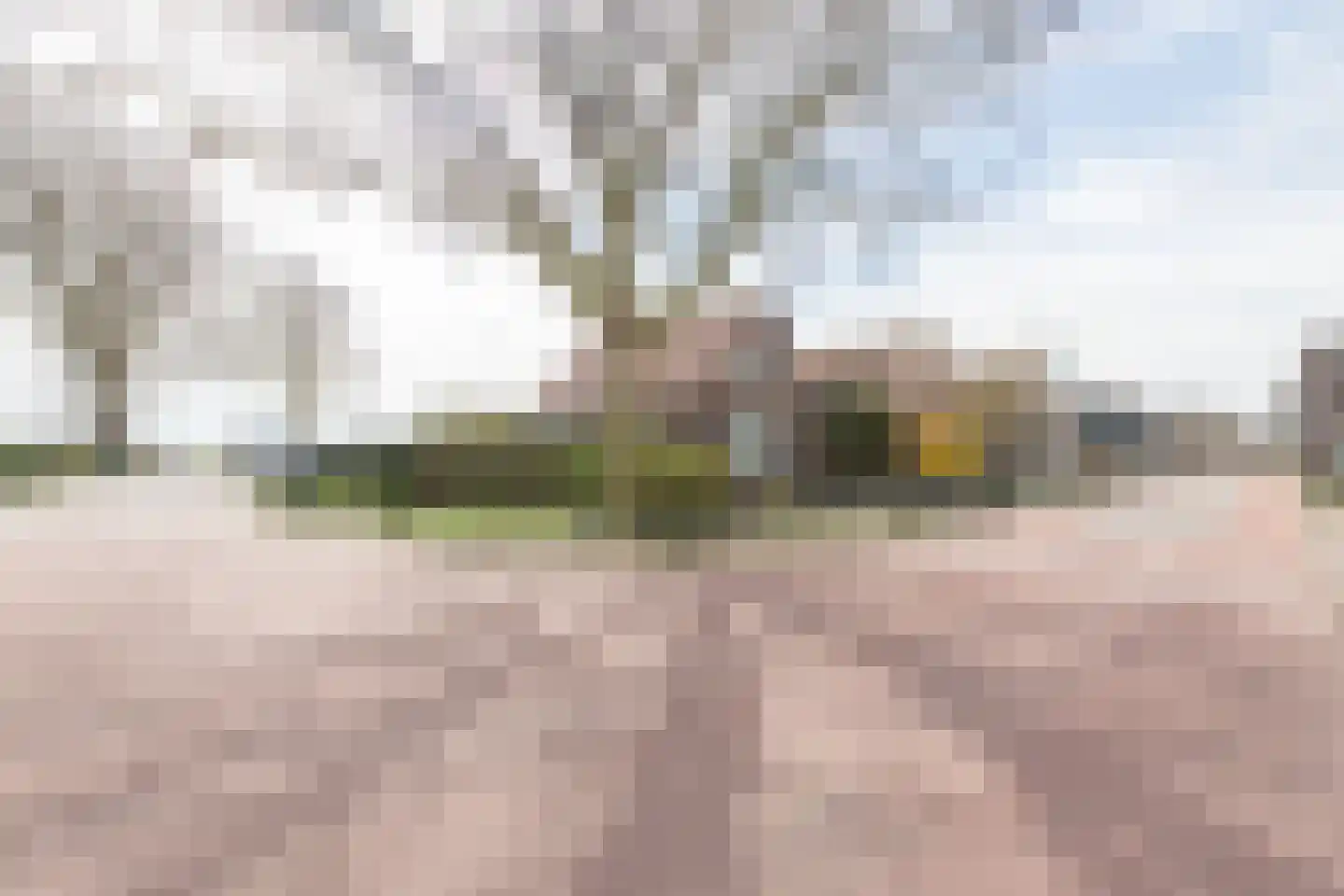Westeinde 245 Berkhout thumbnail 58