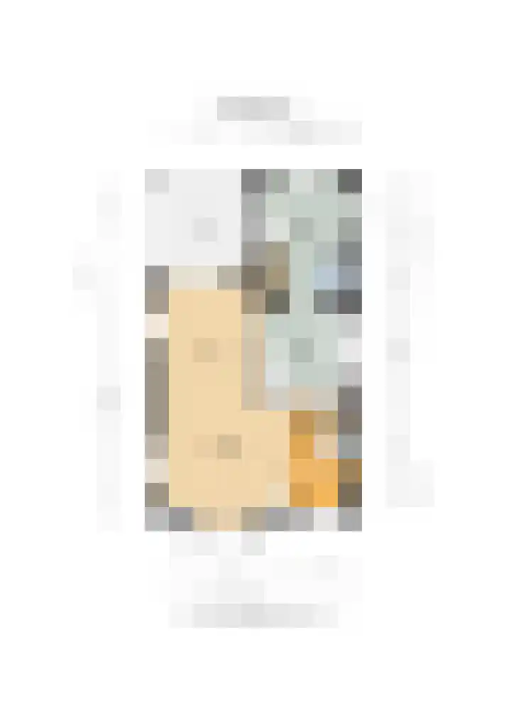 Westeinde 245 Berkhout thumbnail 61