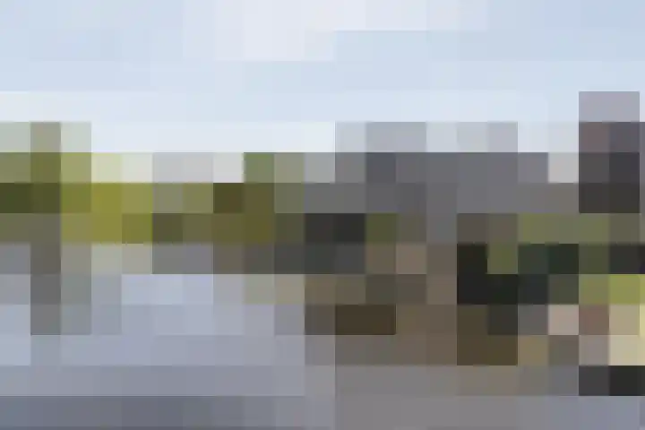 Westeinde 25 in Oud-Alblas