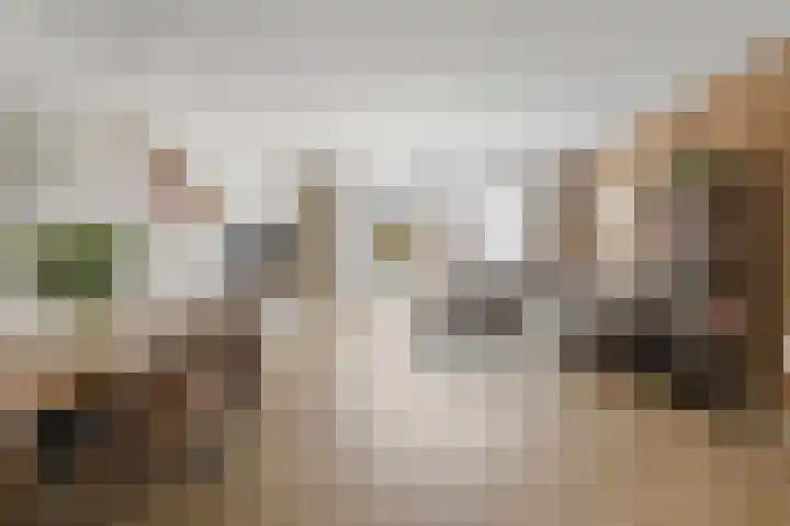 Westeinde 25 Broek op Langedijk thumbnail 4
