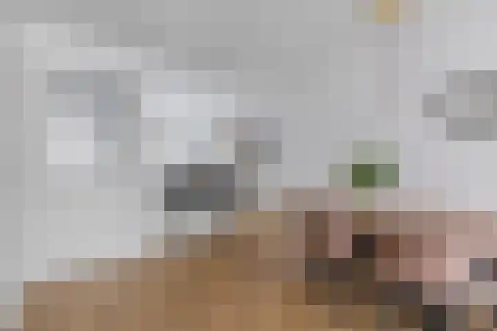 Westeinde 25 Broek op Langedijk thumbnail 7