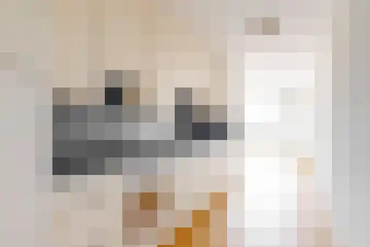 Westeinde 25 Lekkerkerk thumbnail 20