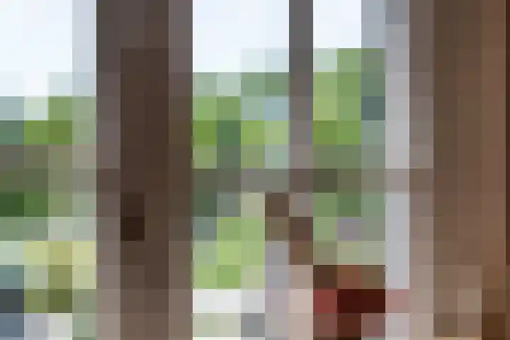 Westeinde 25 Oud-Alblas thumbnail 18