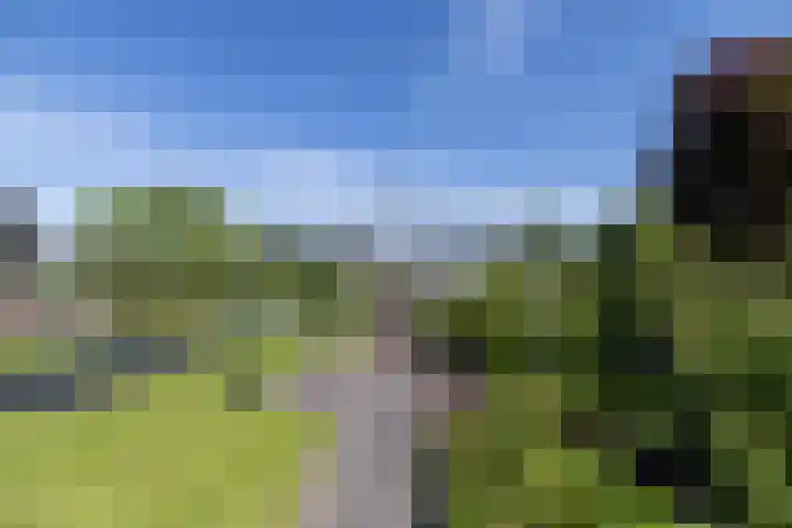 Westeinde 25 Oud-Alblas thumbnail 56