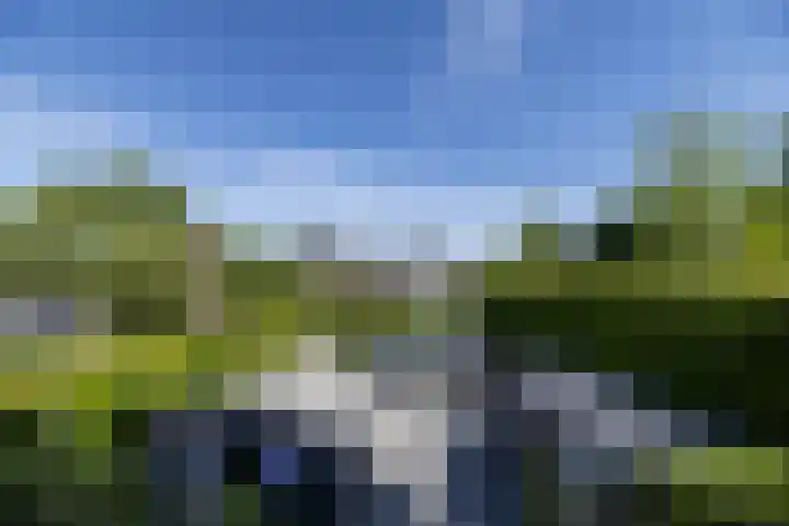 Westeinde 25 Oud-Alblas thumbnail 8