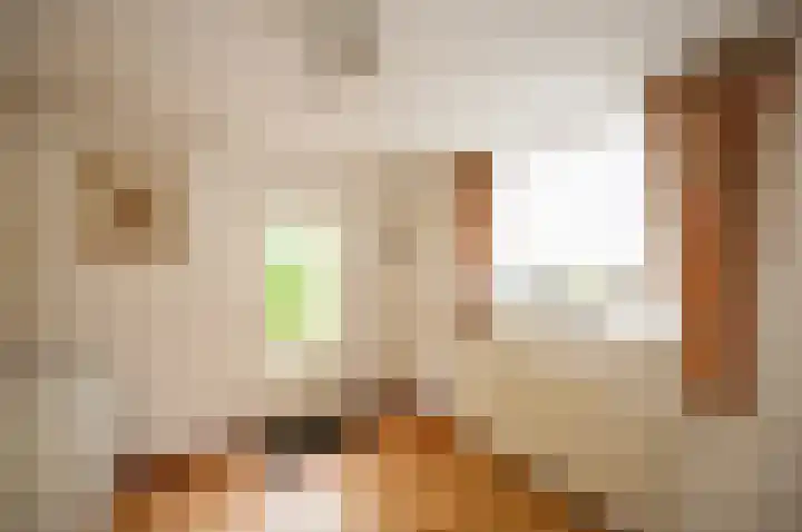 Westeinde 25 Waarder thumbnail 17