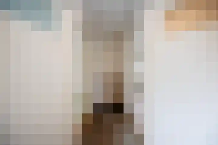 Westeinde 25 Waarder thumbnail 21