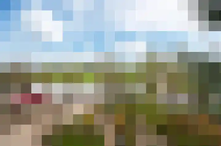 Westeinde 25 Waarder thumbnail 25