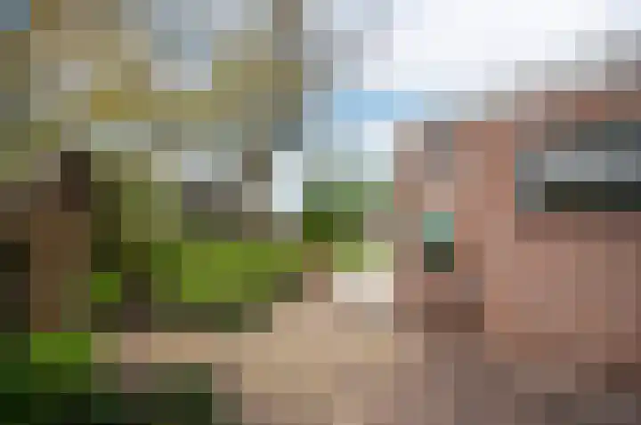 Westeinde 25 Waarder thumbnail 31