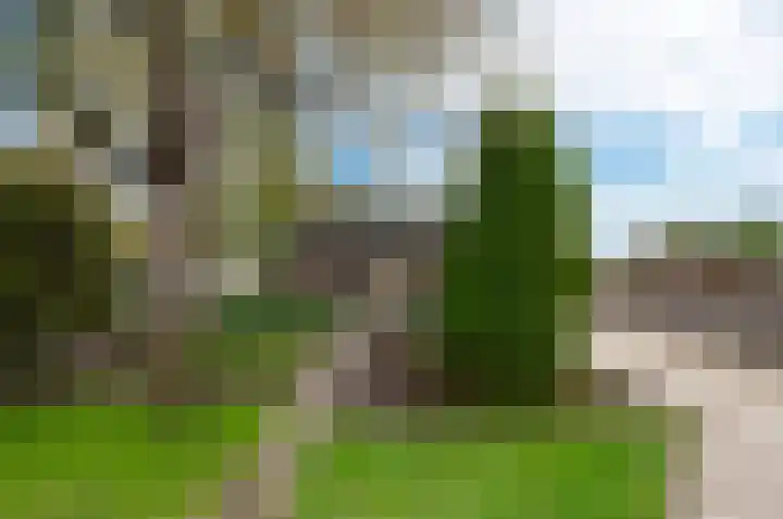 Westeinde 25 Waarder thumbnail 32