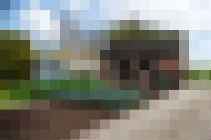 Westeinde 25 Waarder thumbnail 35