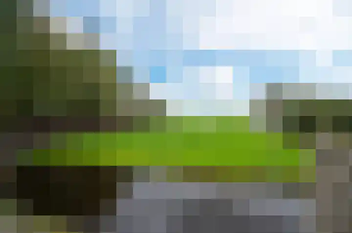 Westeinde 25 Waarder thumbnail 36