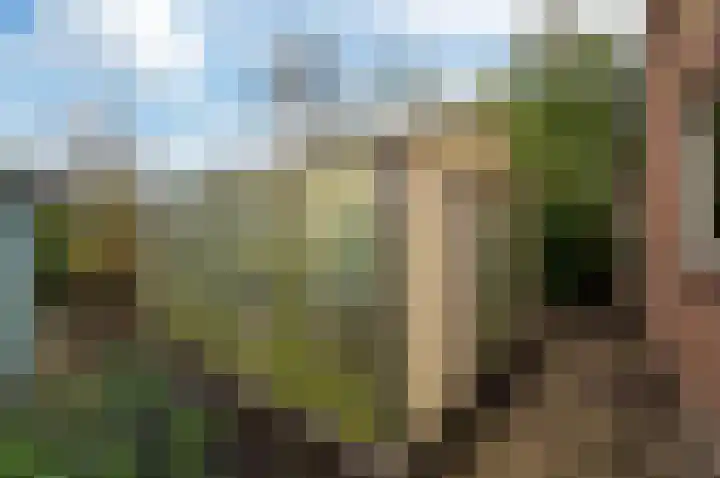 Westeinde 25 Waarder thumbnail 39