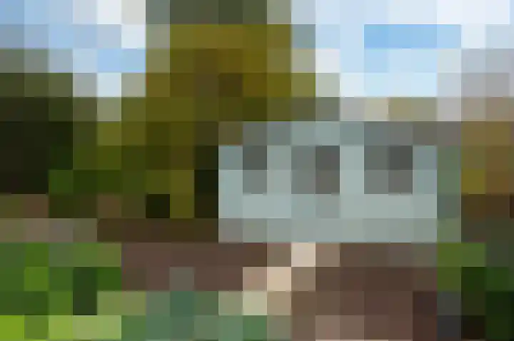 Westeinde 25 Waarder thumbnail 40