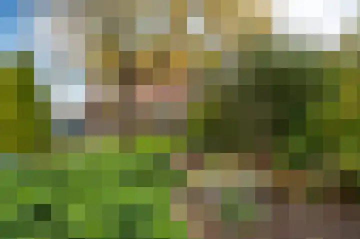 Westeinde 25 Waarder thumbnail 41