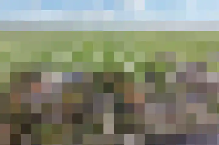Westeinde 25 Waarder thumbnail 42