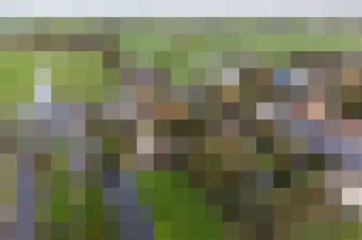 Westeinde 25 Waarder thumbnail 43