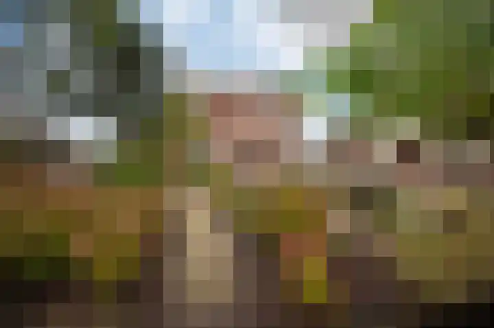 Westeinde 25 Waarder thumbnail 44