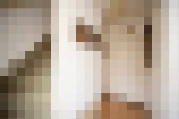 Westeinde 25 Waarder thumbnail 7
