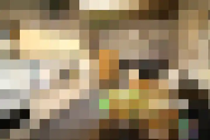 Westeinde 254 Vriezenveen thumbnail 12