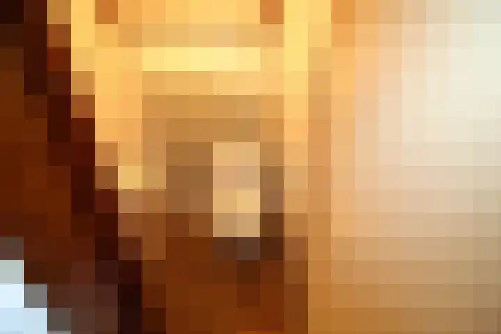 Westeinde 254 Vriezenveen thumbnail 19
