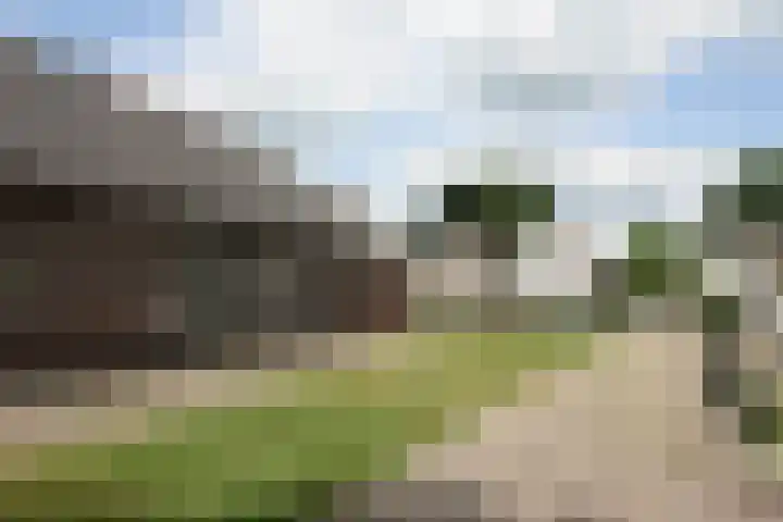 Westeinde 254 Vriezenveen thumbnail 21