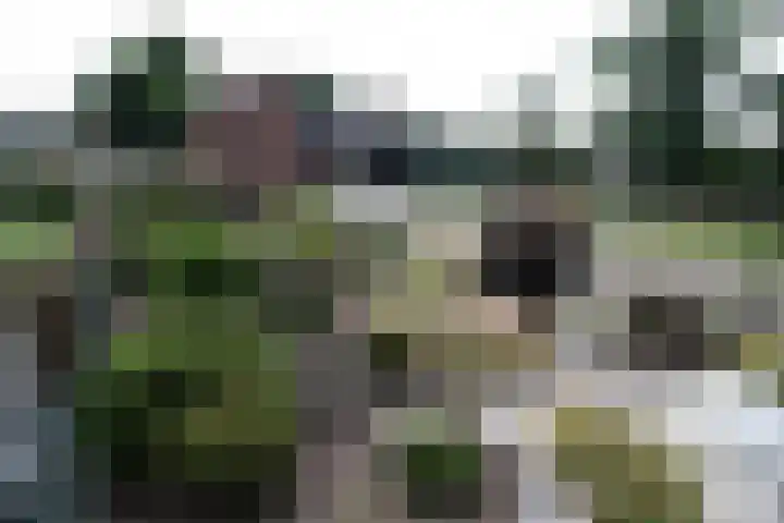 Westeinde 254 Vriezenveen thumbnail 27