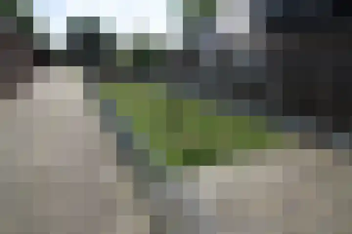 Westeinde 254 Vriezenveen thumbnail 29