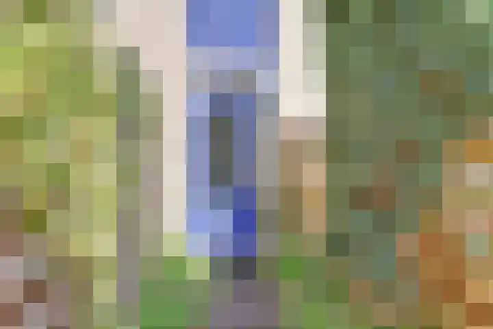 Westeinde 254 Vriezenveen thumbnail 30