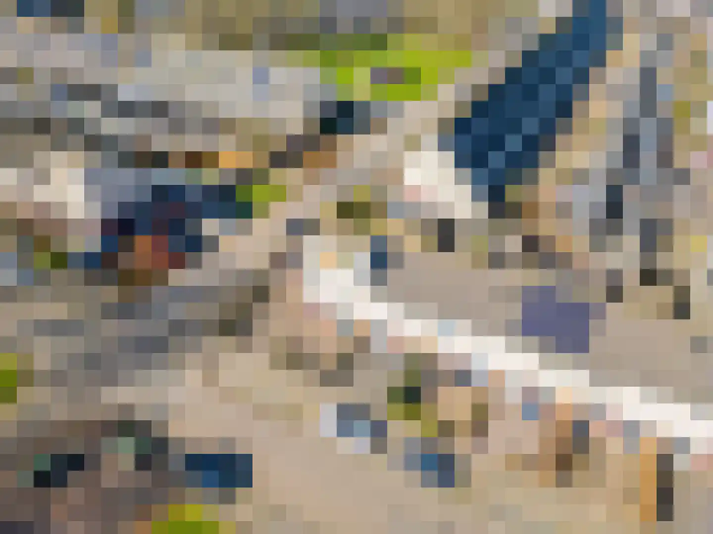 Westeinde 254 Vriezenveen thumbnail 31