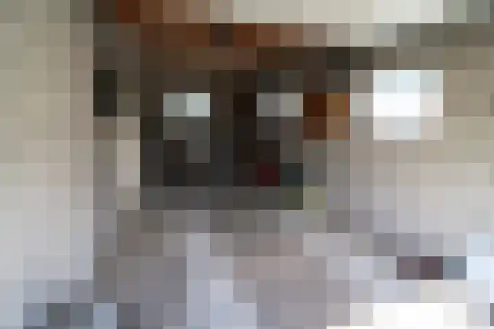 Westeinde 254 Vriezenveen thumbnail 33