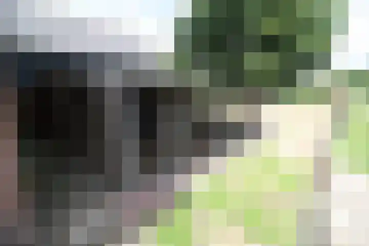 Westeinde 254 Vriezenveen thumbnail 34