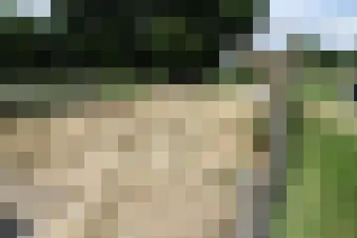 Westeinde 254 Vriezenveen thumbnail 37