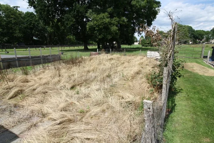 Westeinde 254 Vriezenveen thumbnail 37
