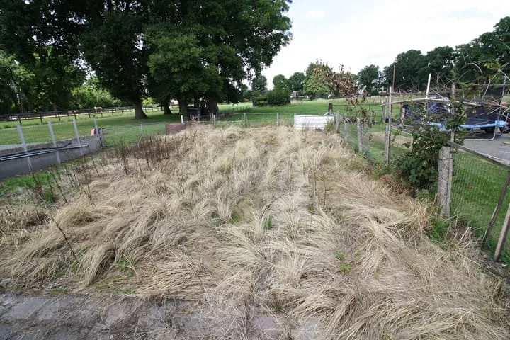Westeinde 254 Vriezenveen thumbnail 38