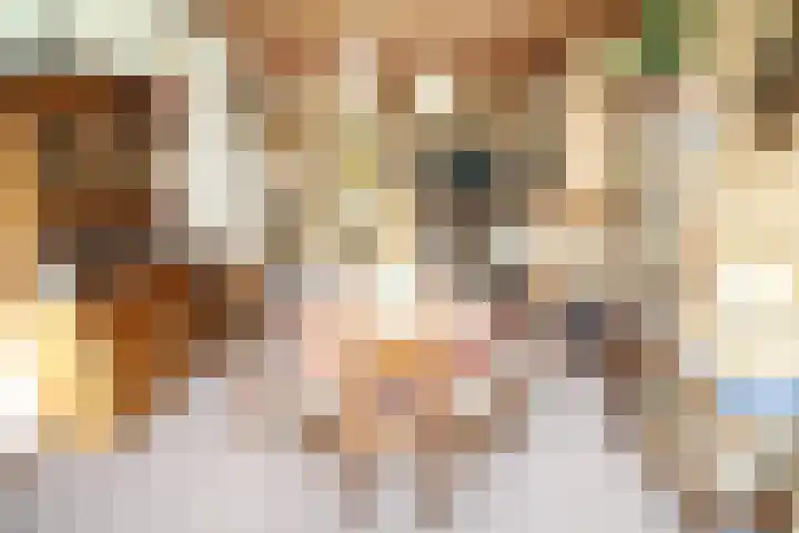 Westeinde 254 Vriezenveen thumbnail 8