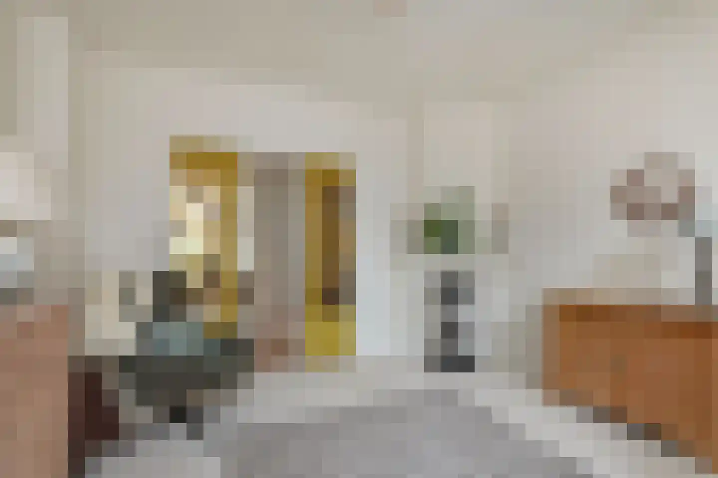 Westeinde 26 Schermerhorn thumbnail 22
